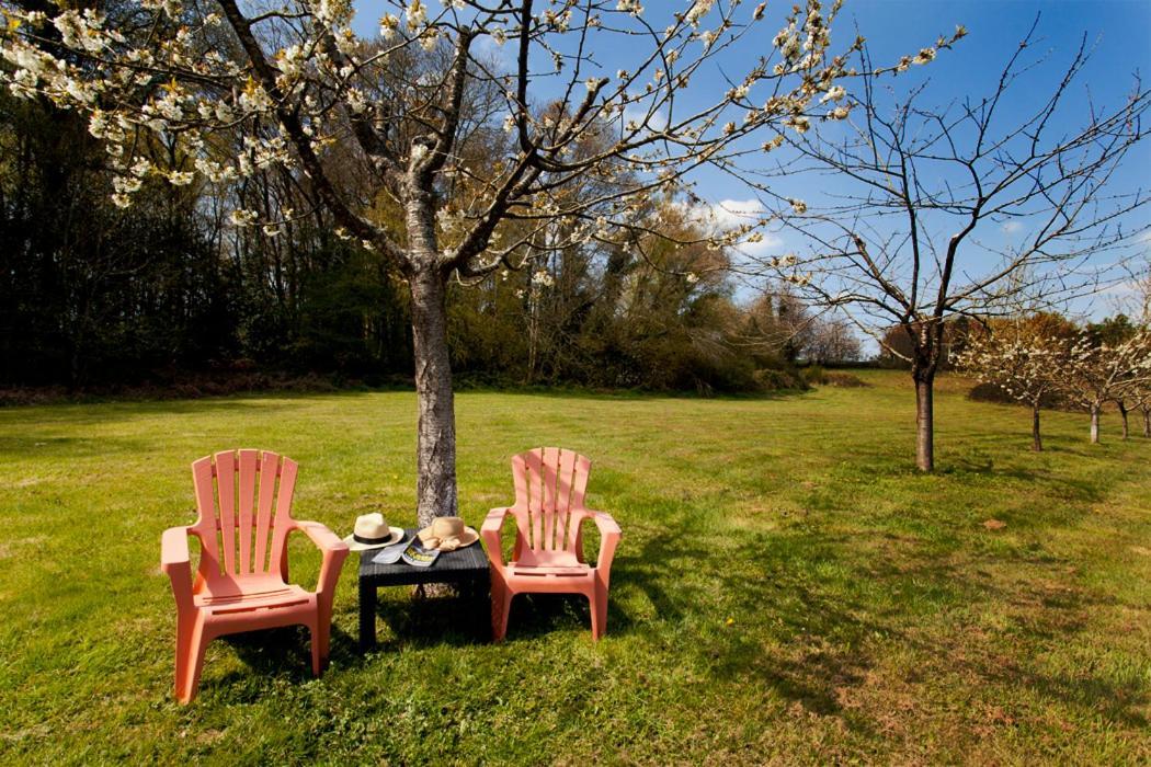 Stone Cottage With Modern Cosy Interior Near To Josselin Perfect Retreat For Writers Or Star Gazers Guégon Kültér fotó